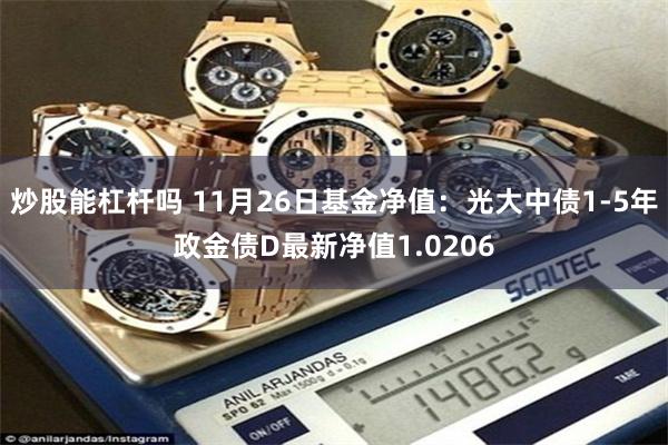 炒股能杠杆吗 11月26日基金净值：光大中债1-5年政金债D最新净值1.0206