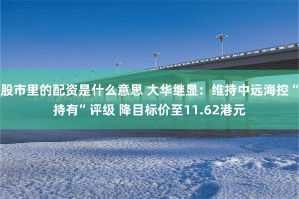 股市里的配资是什么意思 大华继显：维持中远海控“持有”评级 降目标价至11.62港元