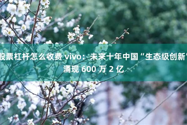 股票杠杆怎么收费 vivo：未来十年中国“生态级创新”涌现 600 万 2 亿