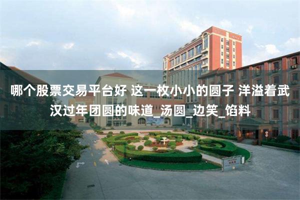 哪个股票交易平台好 这一枚小小的圆子 洋溢着武汉过年团圆的味道_汤圆_边笑_馅料