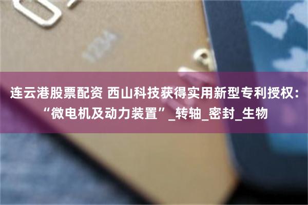 连云港股票配资 西山科技获得实用新型专利授权：“微电机及动力装置”_转轴_密封_生物