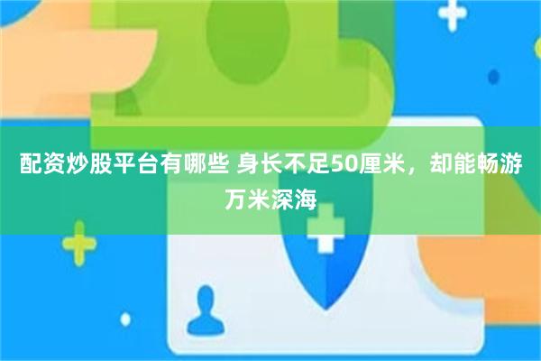 配资炒股平台有哪些 身长不足50厘米，却能畅游万米深海
