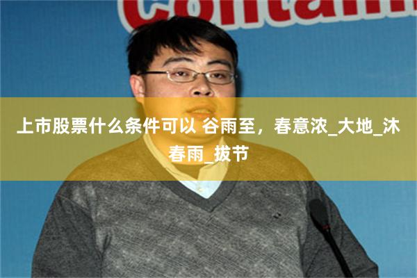 上市股票什么条件可以 谷雨至，春意浓_大地_沐春雨_拔节