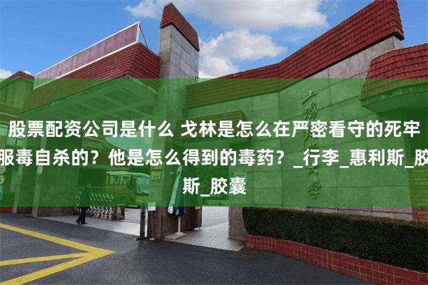 股票配资公司是什么 戈林是怎么在严密看守的死牢中服毒自杀的？他是怎么得到的毒药？_行李_惠利斯_胶囊