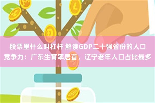 股票里什么叫杠杆 解读GDP二十强省份的人口竞争力：广东生育率居首，辽宁老年人口占比最多