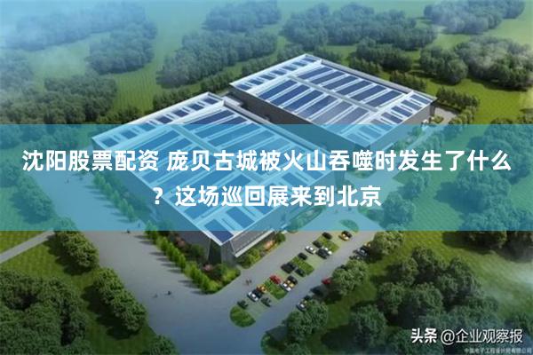 沈阳股票配资 庞贝古城被火山吞噬时发生了什么？这场巡回展来到北京