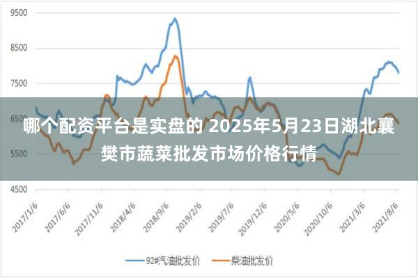 哪个配资平台是实盘的 2025年5月23日湖北襄樊市蔬菜批发市场价格行情