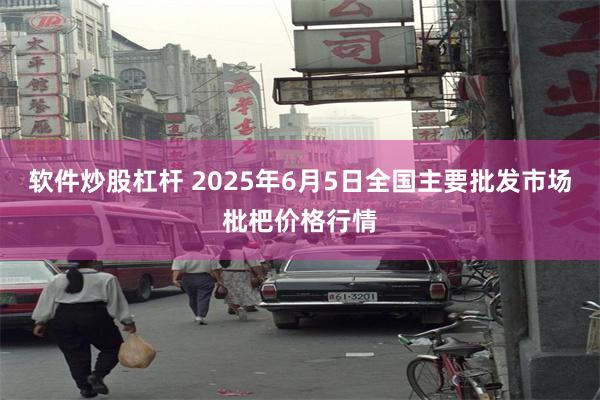 软件炒股杠杆 2025年6月5日全国主要批发市场枇杷价格行情