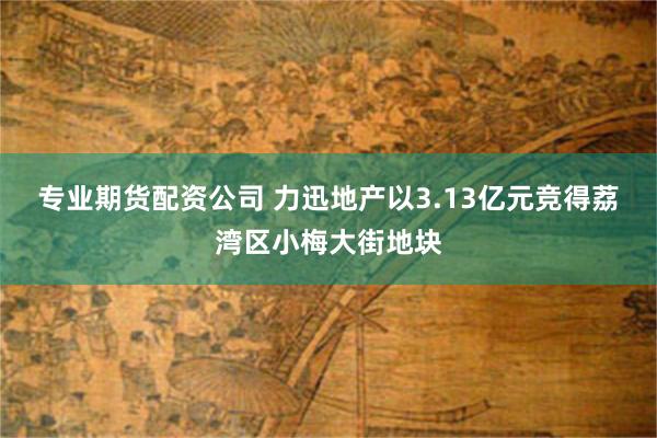 专业期货配资公司 力迅地产以3.13亿元竞得荔湾区小梅大街地块