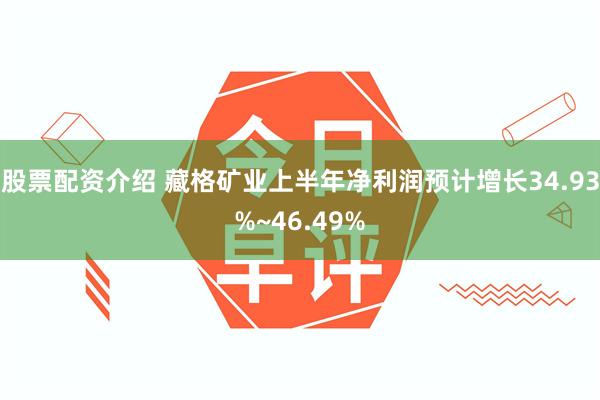 股票配资介绍 藏格矿业上半年净利润预计增长34.93%~46.49%