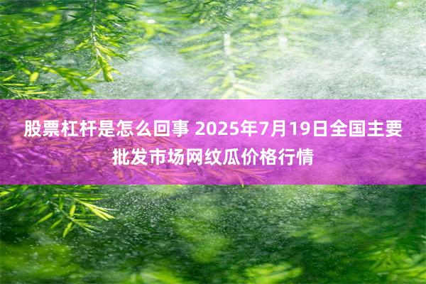 股票杠杆是怎么回事 2025年7月19日全国主要批发市场网纹瓜价格行情