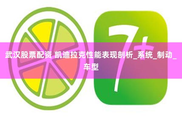 武汉股票配资 凯迪拉克性能表现剖析_系统_制动_车型