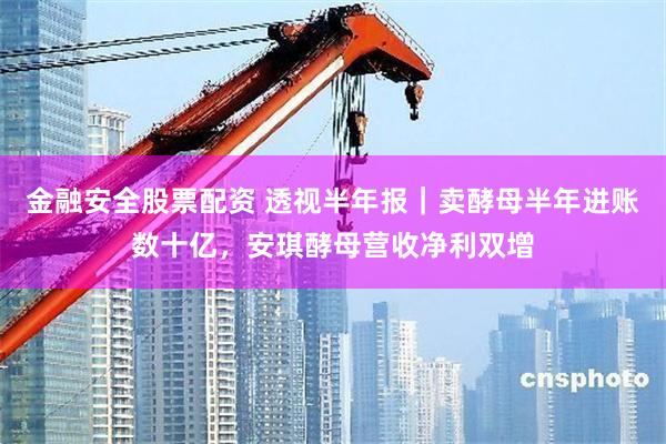 金融安全股票配资 透视半年报｜卖酵母半年进账数十亿，安琪酵母营收净利双增