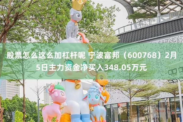 股票怎么这么加杠杆呢 宁波富邦（600768）2月5日主力资金净买入348.05万元