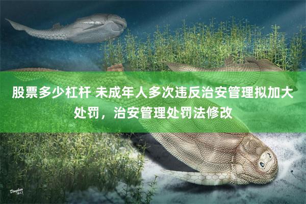 股票多少杠杆 未成年人多次违反治安管理拟加大处罚，治安管理处罚法修改