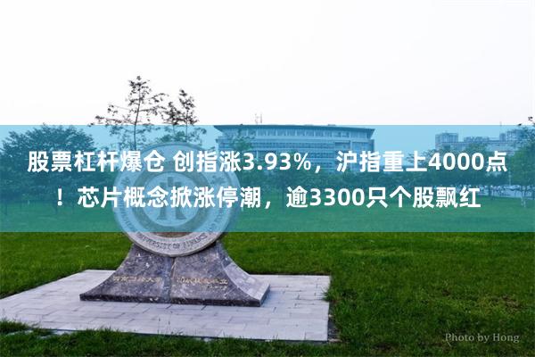股票杠杆爆仓 创指涨3.93%，沪指重上4000点！芯片概念掀涨停潮，逾3300只个股飘红