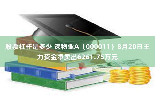 股票杠杆是多少 深物业A（000011）8月20日主力资金净卖出6261.75万元