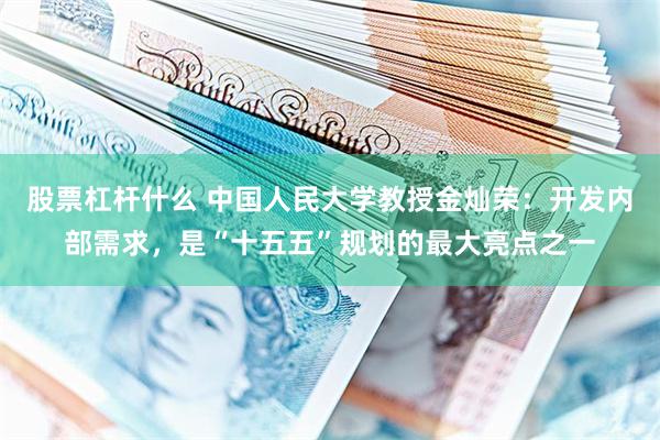 股票杠杆什么 中国人民大学教授金灿荣：开发内部需求，是“十五五”规划的最大亮点之一