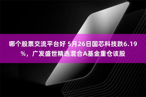 哪个股票交流平台好 5月26日国芯科技跌6.19%，广发盛世精选混合A基金重仓该股