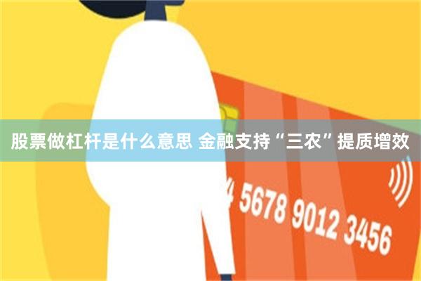 股票做杠杆是什么意思 金融支持“三农”提质增效