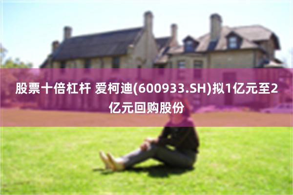股票十倍杠杆 爱柯迪(600933.SH)拟1亿元至2亿元回购股份