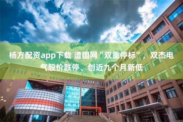 杨方配资app下载 遭国网“双重停标”，双杰电气股价跌停、创近九个月新低