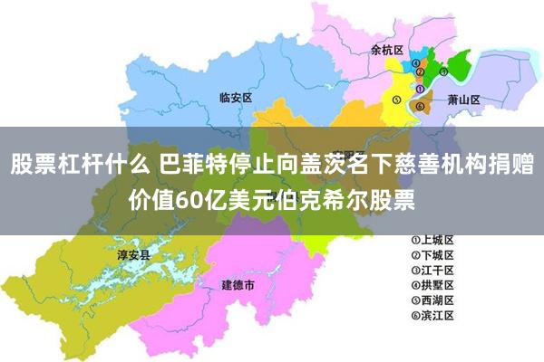 股票杠杆什么 巴菲特停止向盖茨名下慈善机构捐赠价值60亿美元伯克希尔股票