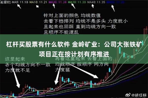 杠杆买股票有什么软件 金岭矿业：公司大张铁矿项目正在按计划有序推进