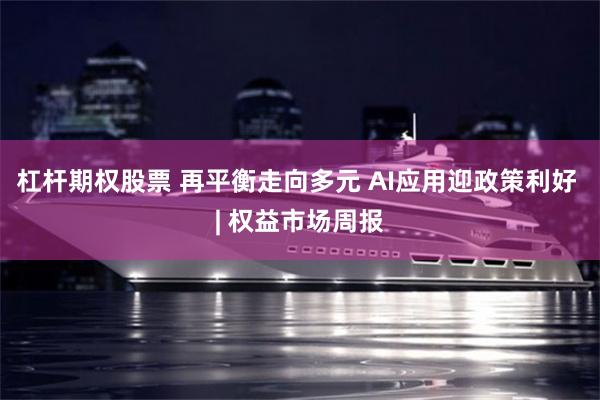 杠杆期权股票 再平衡走向多元 AI应用迎政策利好 | 权益市场周报