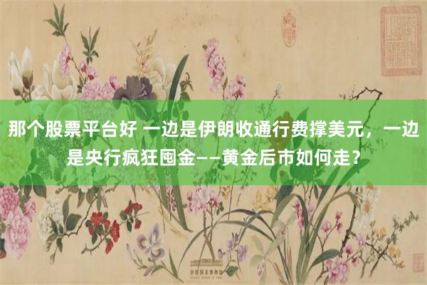 那个股票平台好 一边是伊朗收通行费撑美元,一边是央行疯狂囤金——黄金后市如何走?