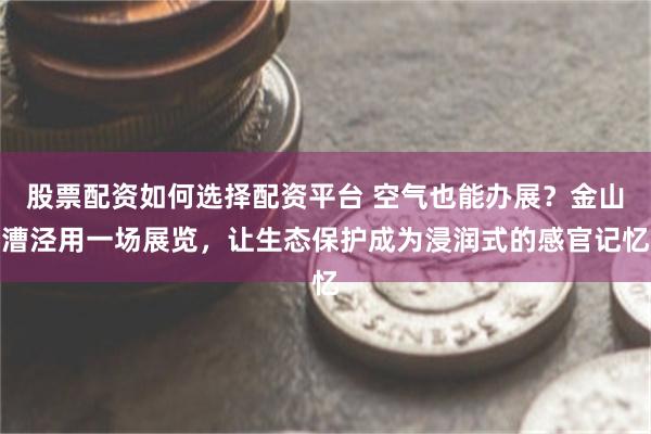 股票配资如何选择配资平台 空气也能办展？金山漕泾用一场展览，让生态保护成为浸润式的感官记忆