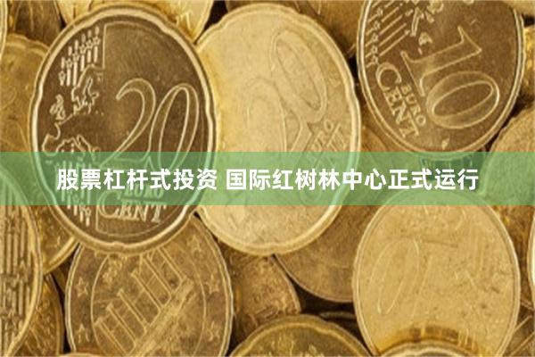 股票杠杆式投资 国际红树林中心正式运行