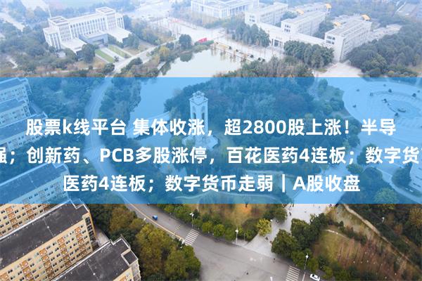 股票k线平台 集体收涨，超2800股上涨！半导体、稀土永磁走强；创新药、PCB多股涨停，百花医药4连板；数字货币走弱｜A股收盘