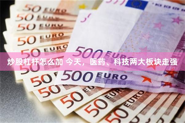 炒股杠杆怎么加 今天，医药、科技两大板块走强