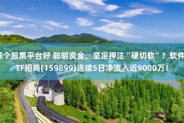 哪个股票平台好 聪明资金，坚定押注“硬切软”？软件ETF招商(159899)连续5日净流入近9000万！