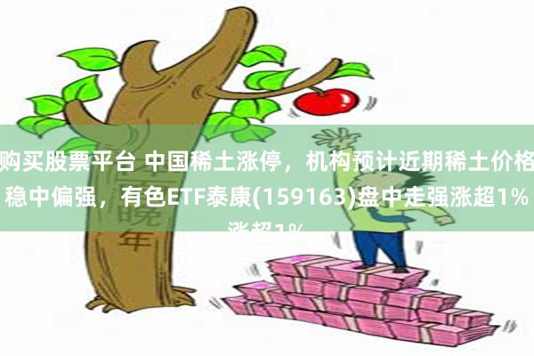 购买股票平台 中国稀土涨停，机构预计近期稀土价格稳中偏强，有色ETF泰康(159163)盘中走强涨超1%