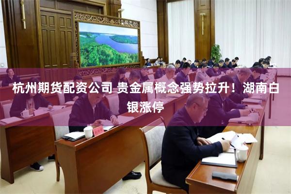 杭州期货配资公司 贵金属概念强势拉升！湖南白银涨停