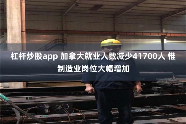 杠杆炒股app 加拿大就业人数减少41700人 惟制造业岗位大幅增加