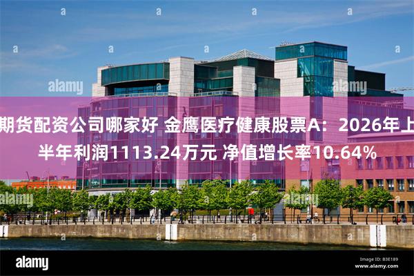 期货配资公司哪家好 金鹰医疗健康股票A：2026年上半年利润1113.24万元 净值增长率10.64%