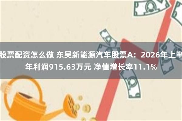 股票配资怎么做 东吴新能源汽车股票A：2026年上半年利润915.63万元 净值增长率11.1%