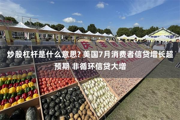 炒股杠杆是什么意思? 美国7月消费者信贷增长超预期 非循环信贷大增