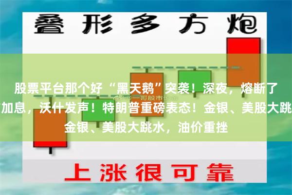 股票平台那个好 “黑天鹅”突袭！深夜，熔断了！美联储宣布加息，沃什发声！特朗普重磅表态！金银、美股大跳水，油价重挫