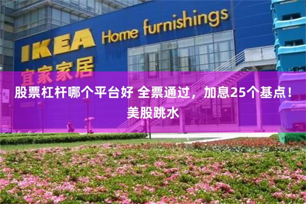 股票杠杆哪个平台好 全票通过，加息25个基点！美股跳水