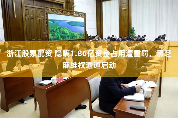 浙江股票配资 隐瞒1.86亿资金占用遭重罚，黑芝麻维权通道启动
