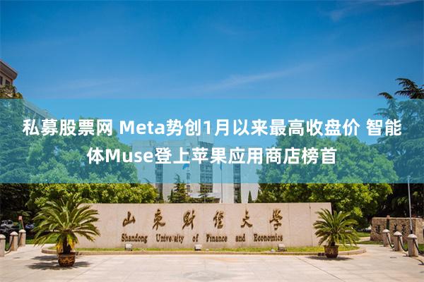 私募股票网 Meta势创1月以来最高收盘价 智能体Muse登上苹果应用商店榜首