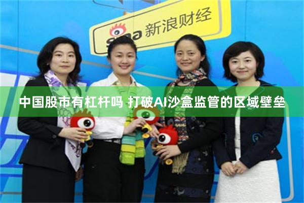 中国股市有杠杆吗 打破AI沙盒监管的区域壁垒