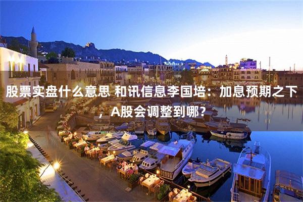 股票实盘什么意思 和讯信息李国培：加息预期之下，A股会调整到哪？