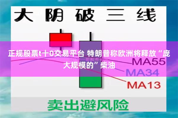 正规股票t十0交易平台 特朗普称欧洲将释放“庞大规模的”柴油