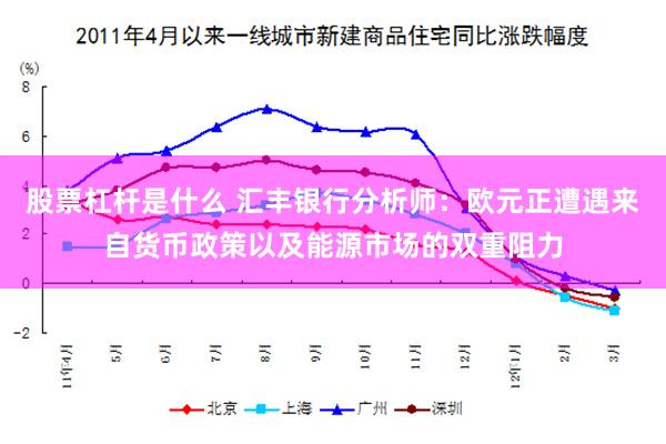 股票杠杆是什么 汇丰银行分析师：欧元正遭遇来自货币政策以及能源市场的双重阻力
