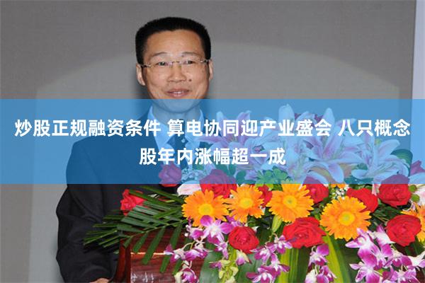炒股正规融资条件 算电协同迎产业盛会 八只概念股年内涨幅超一成